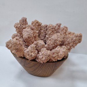 نبات شاخه ای دمنوشی